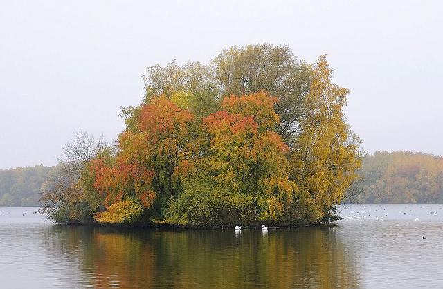1308_1160 See im jendorfer Park an einem grauen Herbstag - die Bltter der Bume haben ihr Herbstkleid angelegt. Im diesigen Hintergrund das andere Ufer des Sees mit Herbstbumen.