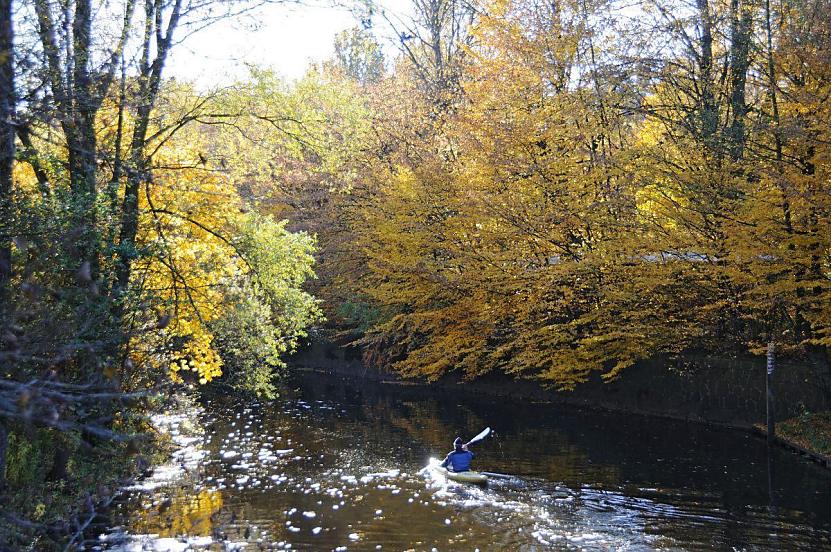 1589_1822 Ein Kanufahrer hat sein Boot bei der Poppenbttler Schleuse wieder ins Wasser gesetzt und fhrt alsterabwrts - das Ufer des Hamburger Flusses sumen Herbstbume, die ihre leuchtenden Zweige weit ber das Wasser strecken. 