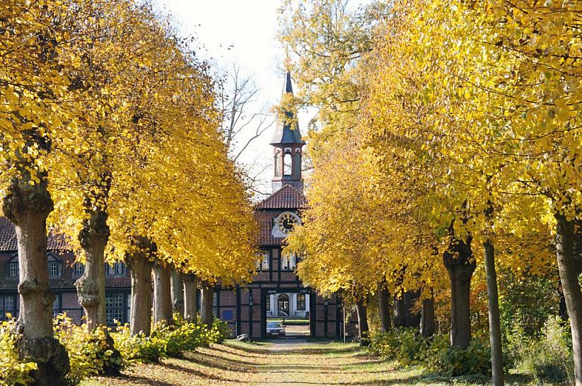 1605_1719 Blick auf das historische Torhaus vom Herrenhaus in Hamburg Wellingsbttel - eine Allee aus Lindenbumen fhrt zu dem Gebude, das um 17578 erbaut wurde. Die Bltter der Kopflinden sind herbstlich gelb gefrbt.