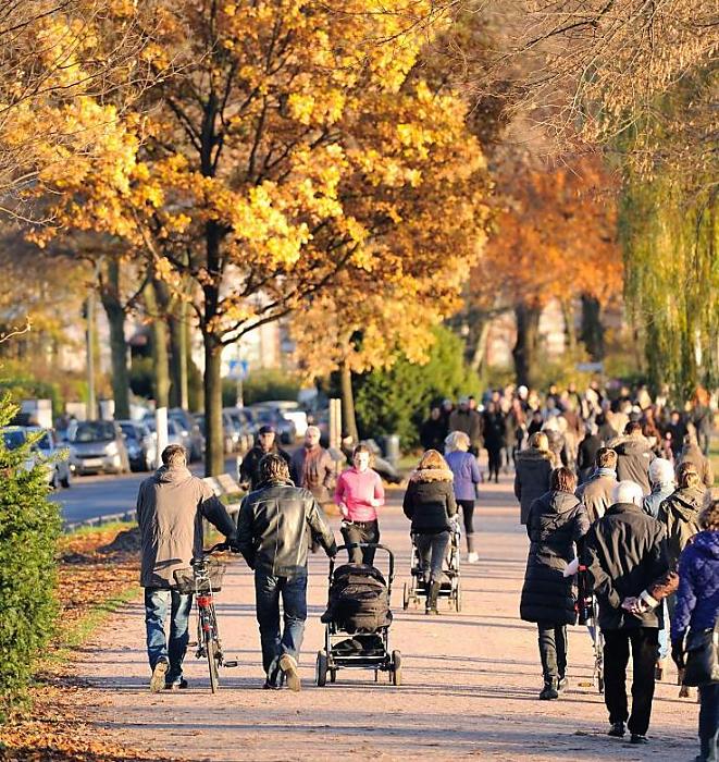 349_1357 Die HamburgerInnen machen bei sonnigem Herbstwetter einen Spaziergang um die Alster; manche joggen um den grossen Hamburger Binnensee; Die Bume am Alsterrundweg strahlen in gelben und rotbraunen Herbstfarben.  