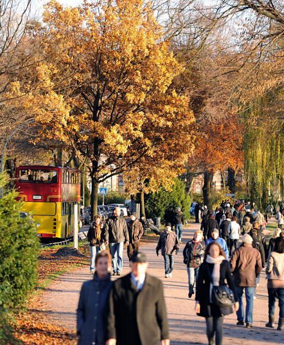 358_1353 Sonntagsspaziergang an der Hamburger Aussenalster in der warmen Herbstsonne; die Strassenbume zeigen prchtige herbstliche Farben - ein Doppeldeckerbus der Hamburger Stadtrundfahrt fhrt an der Alster entlang.  