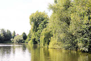 6329 Das Ufer des Billekanals in Hamburg Rothenburgsort ist dicht mit Bumen und Struchern bewachsen.