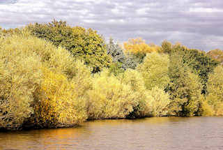 8726 Herbststimmung am Ufer des Schleusengrabens im Hamburger Stadtteil Bergedorf - die Bume am Ufer des Kanals stehen dicht zusammung und sind bunt herbstlich gefrbt.