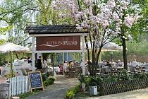 8450_2838 Gartencafe Altes F�hrhaus in Hamburg Cranz. Die G�ste des Caf�s sitzen in der Sonne unter bl�henden Kirschb�umen. Cranz wurde erstmals 1341 urkundlich erw�hnt. Der Name weist auf die Eigent�mlichkeit der Siedlung hin, die H�user direkt an die Deiche zu bauen, so dass sie in