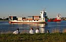 011_15592 zwei Containerschiffe / Containerfeeder liegen auf dem Khlbrand ( Sderelbe ) und warten auf einen Liegeplatz am Terminal Altenwerder. Hamburg Touristen sitzen in der Abendsonne auf dem Elbdeich und beobachten den Schiffsverkehr. www.fotograf-hamburg.de