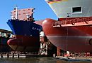 011_22087/00 zwei Schiffe liegen im Schwimmdock in der Schiffswerft im Reiherstieg, der Wasserverbindung im Hamburger Hafen zwischen Norderelbe und Sderelbe. Die neue Schiffslackierung glnzt in der Sonne - an dem mchtigen Schiffsbug, einem Wulstbug sind die Zahlen zum Ablesen des Tiefgangs aufgemalt. Bei dem linken Frachtschiff im Dock sind die Ladeluken geffnet.  www.fotograf-hamburg.de