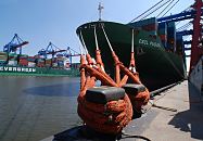 011_26093 Die CSCL PUSAN hat am Predhlkai des Container Terminals EUROGATE festgemacht; am Bug des Schiffs sind die Tampen um die Eisenpoller an Land gelegt. Die Pusan wurde 2006 gebaut und kann 9580 TEU Standard-Container transportieren. Auf der gegenberliegenden Seite des Hafenbeckens vom Waltershofer Hafen liegt ein weiteres Containerschiff am Terminal Burchardkai. www.hamburg-fotograf.com