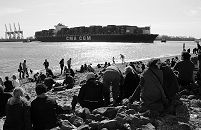 11_17450  Bilder von Hamburg _ Hamburgfotos || Hamburger und Hamburgerinnen sitzen am Elbstrand bei der Strandperle und geniessen in der Abendsonne das faszinierende Schauspiel des Hamburger Hafens. Ein hoch beladenes Contaienrschiff wird auf der Elbe gewendet und mit Hilfe von Schleppern in den Waltershofer Hafen gebracht.   www.christoph-bellin.de