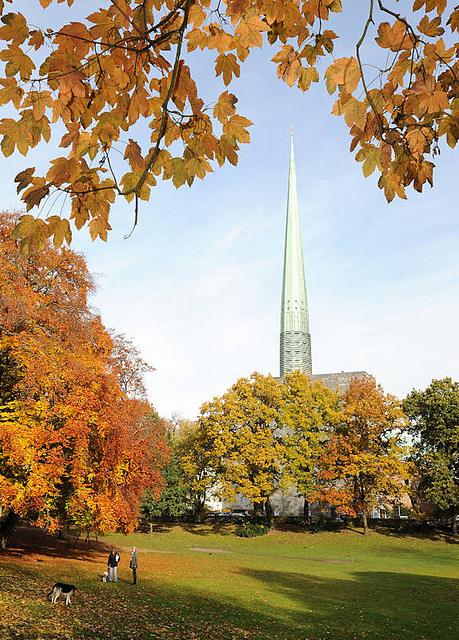 1445_0760 Hundefreunde im Hamburger Simon-Bolivar-Park in Hamburg Harvestehude; die Hunde spielen auf der laubbedeckten Wiese. Am Rand der Grnflche stehen hohe Bume mit herbstbunten Blttern. Im Hintergrund der Kirchturm der St. Nikolaikirche am Klosterstern.