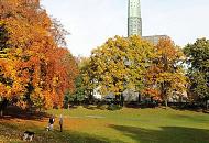 1445_0760  Hundefreunde im Hamburger Simon-Bolivar-Park in Hamburg Harvestehude; die Hunde spielen auf der laubbedeckten Wiese. Am Rand der Grnflche stehen hohe Bume mit herbstbunten Blttern. Im Hintergrund der Kirchturm der St. Nikolaikirche am Klosterstern.  