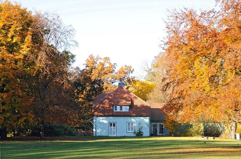 1517_1627 Das Gebude der Kindertagessttte / KITA Hohenbuchen zwischen Herbstbumen - auf der grossen Wiese liegen Bltter.