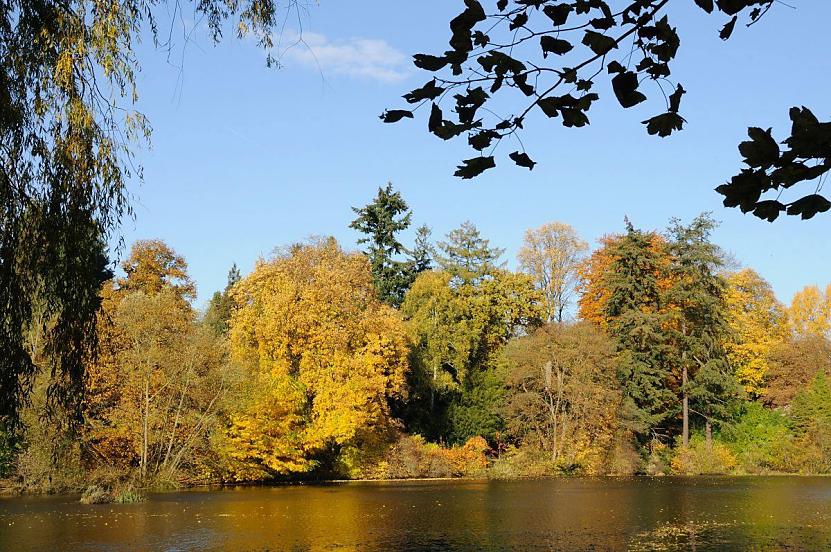 1582_1651 Blick ber den Mhlenteich bei der Poppenbttler Schleuse - das Ufer des Sees, der von der Alster gebildet wird, ist von Laubbumen gesumt deren Laub in allen Herbstfarben strahlt. Auf dem Wasser schwimmt abgefallenes Laub. 