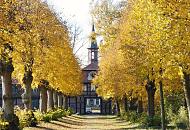 1605_1719 Blick auf das historische Torhaus vom Herrenhaus in Hamburg Wellingsbttel - eine Allee aus Lindenbumen fhrt zu dem Gebude, das um 17578 erbaut wurde. Die Bltter der Kopflinden sind herbstlich gelb gefrbt.