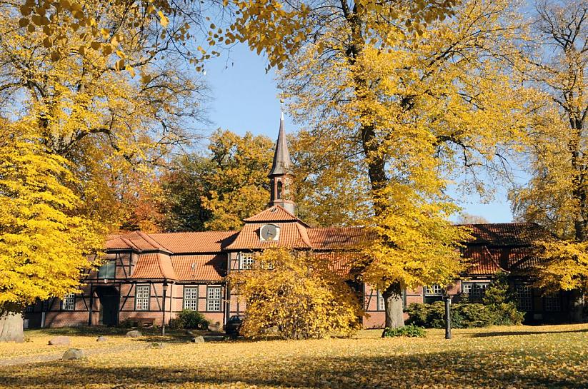 1609_1725 Die alten und hohen Linden vor dem Torhaus in Hamburg Wellingsbttel tragen gelb - goldene Herbstbltter. Die Wiese vor dem historischen Gebude ist mit abgefallenem Laub bedeckt.