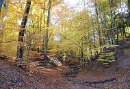 1649_1710 Endmornenlandschaft des Alstertals in Hamburg Wellingsbttel - hgelige Landschaft mit Baumbestand entlang des Hamburger Flusses Alster. Die Sonne scheint durch die herbstlichen Bume; Laub liegt auf dem Boden. 