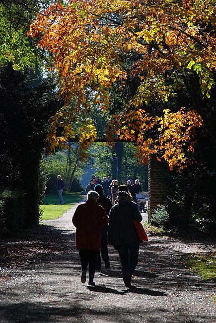 16_03798 BSonntag Nachmittag im Hamburger Stadtpark - Spaziergnger und Spaziergngerinnen schlendern durch den herbstlichen Park - die Herbstbltter einer Kastanie leuchten in der Sonne.    www.christoph-bellin.de