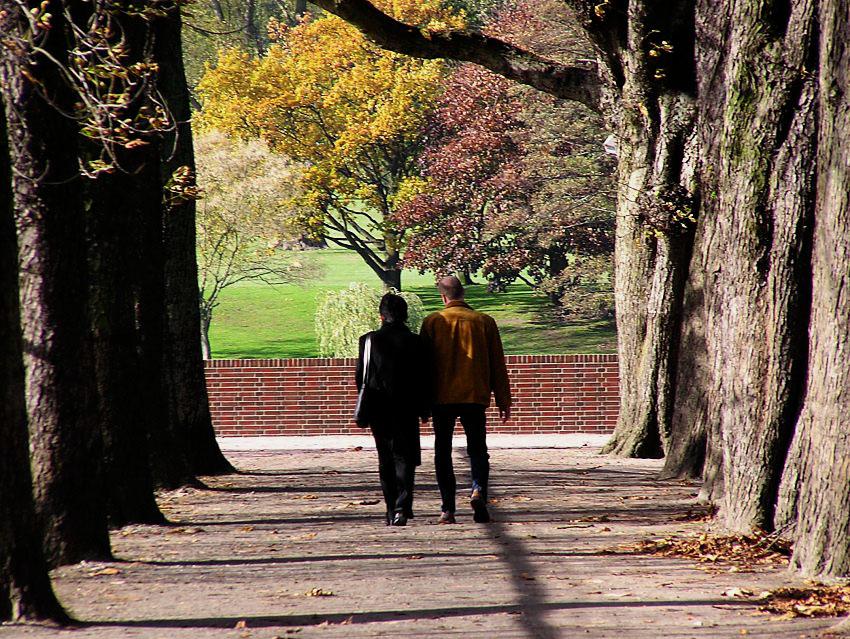 16_03800 ein Paar geht durch die Kastanienallee beim Grossen See im Winterhuder Stadtpark - auf der anderen Seite des Ufers stehen Herbstbume mit gelben und roten Blttern auf der Wiese.    www.christoph-bellin.de