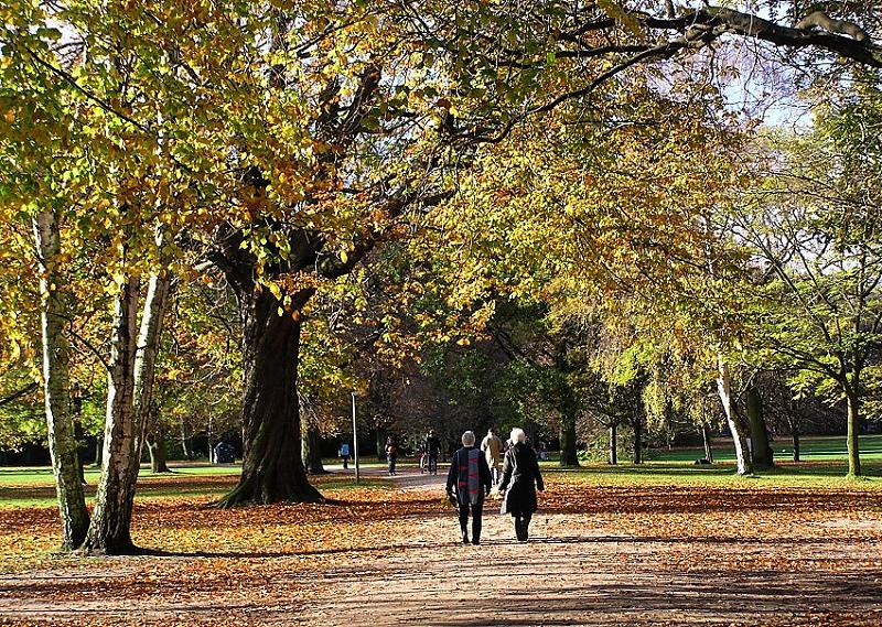 16_03801 Spaziergnger gehen durch den herbstlichen Stadtpark - die Bume verlieren ihre Bltter, das trockene Laub liegt auf den Wegen und raschelt bei jedem Schritt.  www.christoph-bellin.de