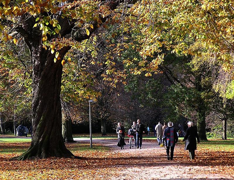 16_03802 im Vordergrund eine herbstliche Kastanie - unter ihr liegen auf dem Weg das schon abgeworfene Laub. Spaziergnger geniessen die strahlende Herbstsonne.  www.christoph-bellin.de