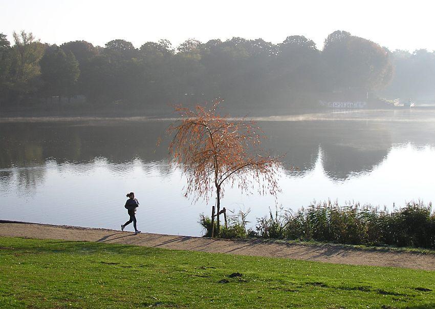 16_03804 sonniger Herbstmorgen am Stadtpark See - die einsame Joggerin am Seeufer wirft einen langen Schatten in der Morgensonne. ber dem Stadtparksee liegt leichter Morgennebel; die Bltter einer jungen Weide am Seeufer zeigt die braun gefrbten herbstlichen Bltter. Im Hintergrund die hohen Stadtpark-Bume im Frhnebel.   www.christoph-bellin.de