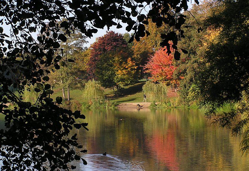16_03805 Blick ber den Stadtparksee auf das andere Seeufer, an dem die farbigen Herbstbume stehen, deren buntes Herbstlaub im ruhigen Seewasser spiegelt.    www.christoph-bellin.de