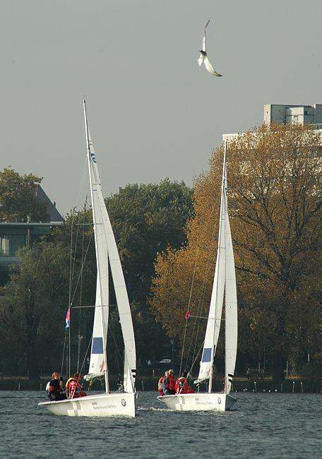 16_03827  zwei Segler auf der Aussenalster vor Herbstbumen am Alsterufer - eine Mwe fliegt im Hamburger Wind.   www.christoph-bellin.de