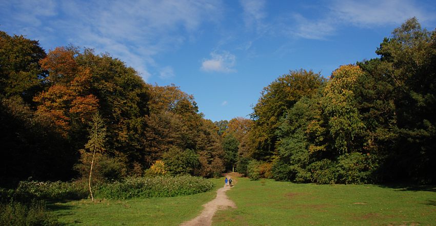 16_03835  Herbstpanorama im Niendorfer Gehege - links und rechts der grossen Wiese stehen die hohen Bume vom Niendorfer Wald, dem Naherholungsgebiet im Hamburger Norden; die Bltter haben ihre Herbstfrbung angenommen und strahlen farbig im Sonnenlicht. Der blaue Hamburg Himmel ist nur mit einigen Federwolken bedeckt. 