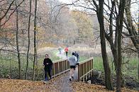 1714_2497 Eine Brcke mit einfacher Holzkonstruktion fhrt ber den Bach Saselbeck an den Teichwiesen in Hamburg Volksdorf - der Rundweg um das Hamburger Naturschutzgebiet wird von Joggern und Spaziergngern mit Hund gerne genutzt. 