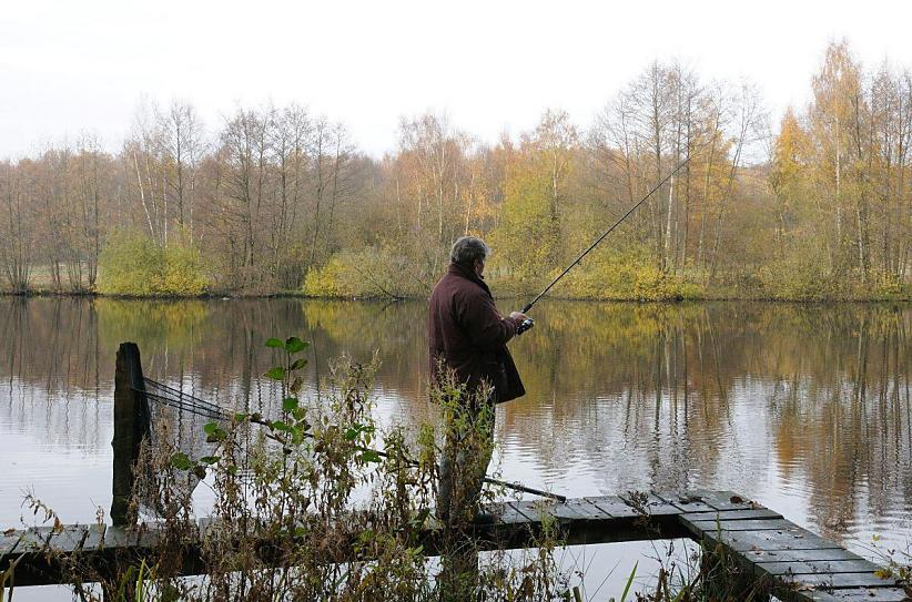 1717_2490 Ein Angler steht mit seiner auf einem Holzsteg am Ufer des Rckhaltebeckens bei den Teichwiesen von Hamburg Volksdorf - ein grosser Ketscher, mit dem der Fang an Land geholt werden soll, lehnt an einem Balken. Am gegenber liegenden Ufer stehen Bume mit herbstlich gefrbten Blttern; teilweise ragen Strucher und Zweige weit ber das Wasser.  