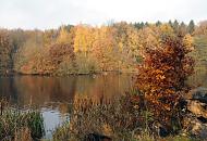 1735_2651 Blick ber den Alhorndiek-Teich in Hamburg Volksdorf - am Ufer des kleinen Sees stehen Bume, deren Laub in Herbstfarben leuchten; im Vordergrund Grser und Strucher am Ufer des Wassers.