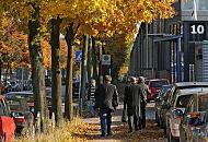 1887_0684 Ahornbume mit goldgelben Herbstlaub in der Berzeliusstrasse in Hamburg Billbrook. Autos parken auf der Strasse und dem Gehweg, Passanten gehen durch das Laub, dass auf dem Fussweg liegt.