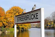 327_0635  Zwei Tauben sitzen auf dem Schild Streekbrcke am Schiffsanleger und blicken auf die Alster. Am Ufer stehen hohe Laubbume deren Laub herbstlich gelb-rot gefrbt ist. 