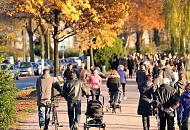 349_1357  Die HamburgerInnen machen bei sonnigem Herbstwetter einen Spaziergang um die Alster; manche joggen um den grossen Hamburger Binnensee; Die Bume am Alsterrundweg strahlen in gelben und rotbraunen Herbstfarben.