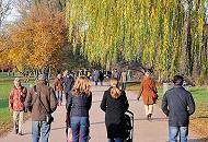 367_1250  Spaziergang in der Sonne an der Alster - Eltern schieben ihre Kinderkarren entlang des Alsterwanderwegs an der Hamburger Aussenalster - einige Bume haben ihre Bltter schon ganz verloren, andere zeigen noch herbstliche Frbung.  