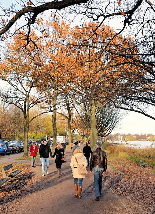 377_1213 Herbstlich gefrbtes Laub am Alsterweg der Hamburger Aussenalster - viele Bume am Wegesrand haben schon die meisten ihrer Bltter verloren - die HamburgerInnen geniessen das schne Herbstwetter und gehen an der Alster spazieren. 