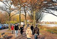 377_1213  Herbstlich gefrbtes Laub am Alsterweg der Hamburger Aussenalster - viele Bume am Wegesrand haben schon die meisten ihrer Bltter verloren - die HamburgerInnen geniessen das schne Herbstwetter und gehen an der Alster spazieren. 