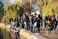 414_1376  Die Hamburger und Hamburgerinnen geniessen einen der schnen sonnigen Herbsttage am Ufer der Aussenalster - sie haben sich in der Alsterperle mit Getrnken und Kuchen versorgt und sitzen auf der Ufermauer in der Sonne und blicken auf die Alster. 