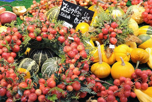 817_0978 Auf einem Hamburger Wochenmarkt  werden unterschiedliche Zierkrbisse zur huslichen Herbstdekoration angeboten - rote Frchte sind zu Dekorationskrnzen gebunden.