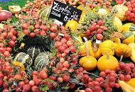 817_0978  Auf einem Hamburger Wochenmarkt  werden unterschiedliche Zierkrbisse zur huslichen Herbstdekoration angeboten - rote Frchte sind zu Dekorationskrnzen gebunden. 