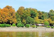 918_0638  Herbstbume am Hamburger Elbufer - am Elbwanderweg in Hamburg Othmarschen liegt ein Caf mit Blick auf die Elbe; die Gste sitzen unter Bumen und beobachten den Schiffsverkehr auf dem Fluss.