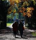 16_03798 Sonntag Nachmittag im Hamburger Stadtpark - Spaziergänger und Spaziergängerinnen schlendern durch den herbstlichen Park - das herbstliche Laub einer Kastanie leuchtet in der Sonne.    ©www.christoph-bellin.de