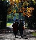 16_03798 Sonntag Nachmittag im Hamburger Stadtpark - Spaziergnger und Spaziergngerinnen schlendern durch den herbstlichen Park - das herbstliche Laub einer Kastanie leuchtet in der Sonne.  www.christoph-bellin.de