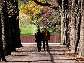 16_03800 ein Paar geht durch die Kastanienallee beim Grossen See im Winterhuder Stadtpark - auf der anderen Seite des Ufers stehen Herbstbume mit gelben und roten Blttern auf der Wiese.   www.christoph-bellin.de