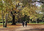 16_03801 Spaziergnger gehen durch den herbstlichen Stadtpark - die Bume verlieren ihre Bltter, das trockene Laub liegt auf den Wegen und raschelt bei jedem Schritt. www.christoph-bellin.de