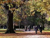 16_03802 im Vordergrund eine herbstliche Kastanie - unter ihr liegt auf dem Weg das schon abgeworfene Laub, das bald zusammen gefegt wird. Spaziergnger geniessen die strahlende Herbstsonne. www.christoph-bellin.de