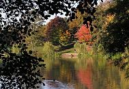 16_03805 Blick über den Stadtparksee auf das andere Seeufer, an dem die farbigen Herbstbäume stehen, deren buntes Herbstlaub im ruhigen Seewasser spiegelt.    ©www.christoph-bellin.de