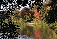 16_03805 Blick ber den Stadtparksee auf das andere Seeufer, an dem die farbigen Herbstbume stehen, deren buntes Herbstlaub im ruhigen Seewasser spiegelt.   www.christoph-bellin.de