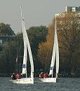 16_03827  zwei Segler auf der Aussenalster vor Herbstbumen am Alsterufer - eine Mwe fliegt im Hamburger Wind.   www.christoph-bellin.de