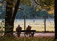 16_03829  zwei RentnerInnen sitzen auf einer Holzbank im Niendorfer Gehege unter Herbstbäumen und blicken zum Wildgehege hinüber. Hinter dem Zaun steht Damwild auf der Wiese - im Vordergrund ist der Weg und der Boden unter den Bäumen dicht mit Herbstlaub bedeckt.  ©www.christoph-bellin.de