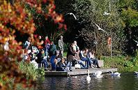 16_03812 auf dem Bootsanleger am herbstlichen Stadtparksee sitzen die Parkbesucher in der Sonne, lesen, hören Musik, unterhalten sich oder füttern die Schwäne und Möwen.  ©www.christoph-bellin.de